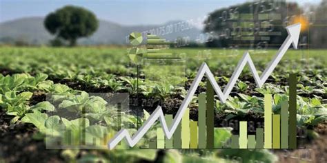 How Market Trends Affect